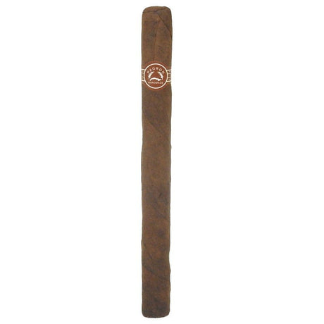 Padron Ambassador Maduro